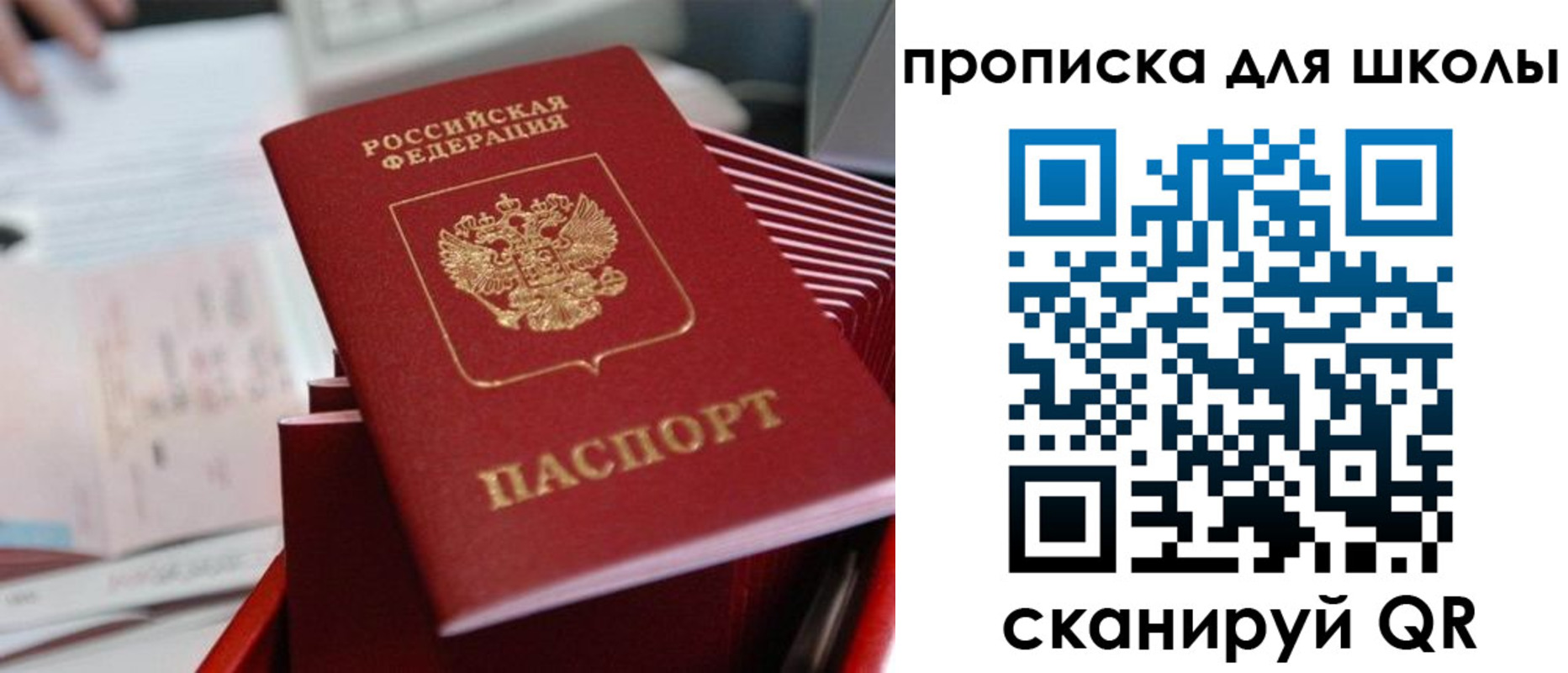 прописка для школы в Опочке